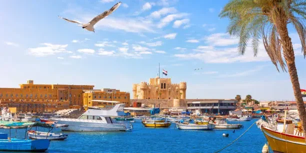ALEXANDRIA