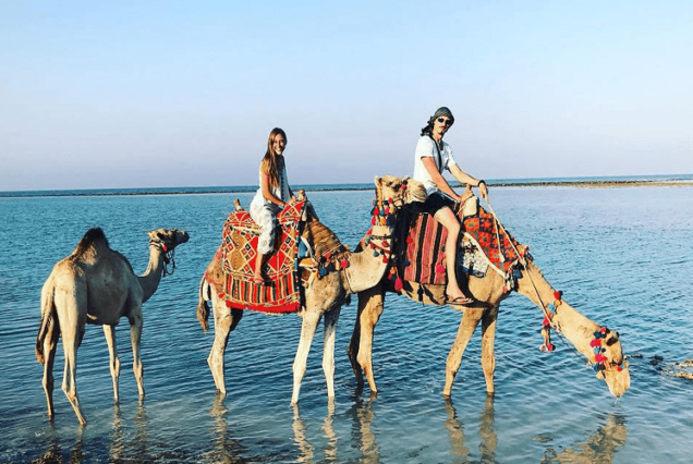 Pristine beach at Wadi El Gemal National Park Marsa Alam