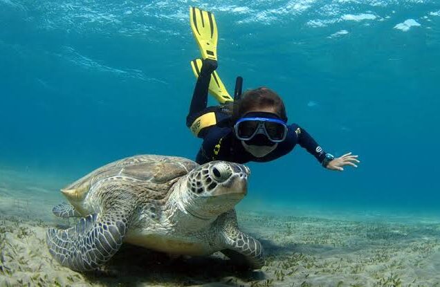 Abu Dabbab Beach with crystal clear water in Marsa Alam Egypt