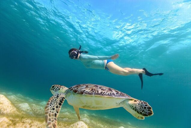 Visitors snorkeling with marine life at Abu Dabbab Beach