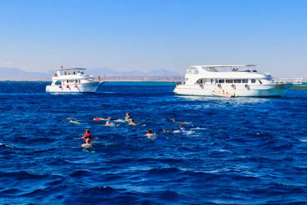 Experience scuba diving in Hurghada with professional instructors. Explore colorful coral reefs, tropical fish, amazing dive sites, lunch onboard, and hotel transfers included.