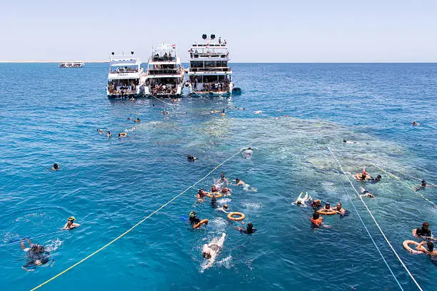 Snorkeling at Orange Bay Hurghada colorful coral reef