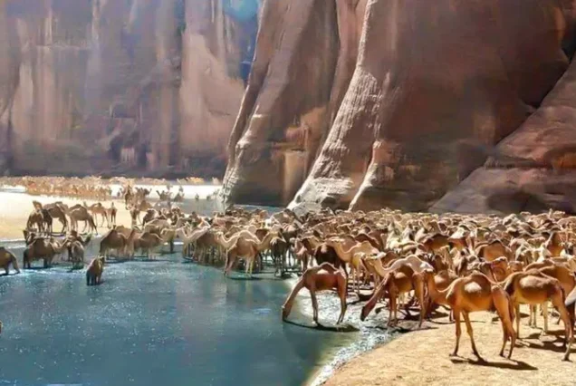 Wadi El Gemal National Park stunning Red Sea coastline in Marsa Alam